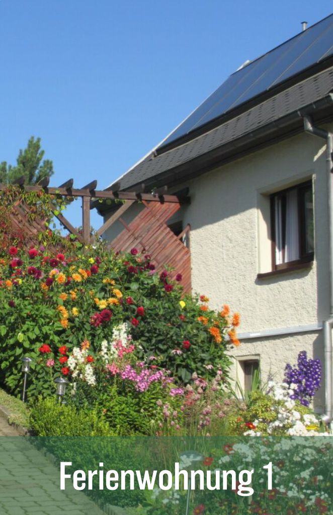 wohnung eins
